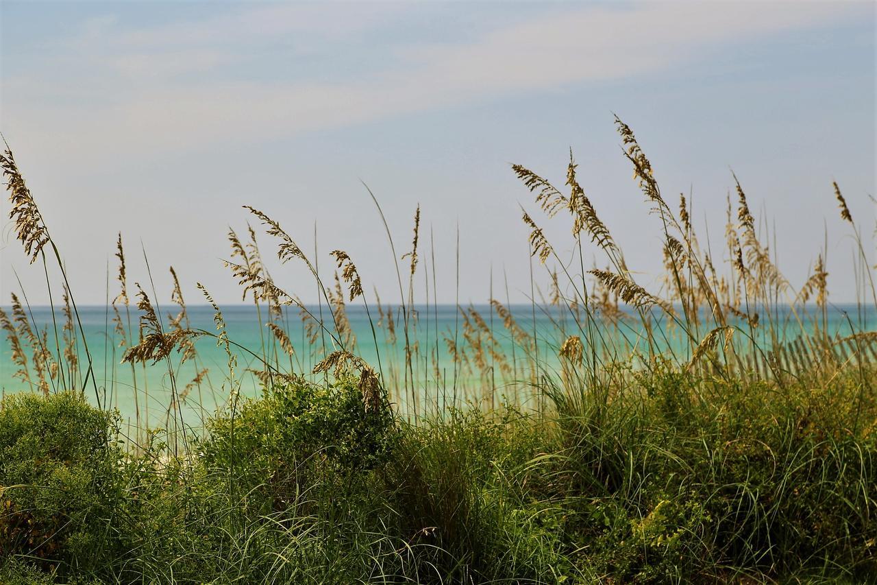 Henderson Beach Resort Destin Exterior foto